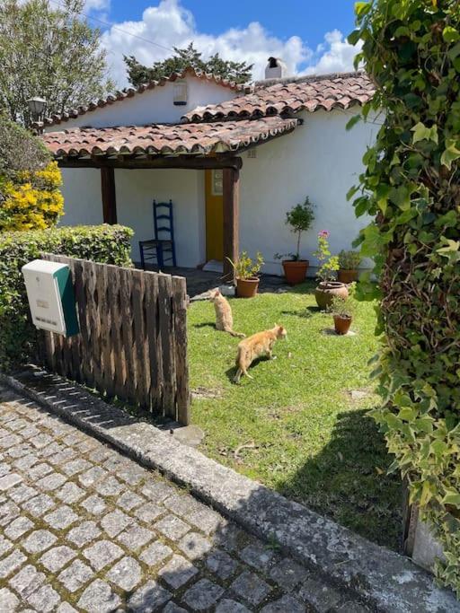 Ocean, Surf, Golf Private Villa With Pool Near Lagoon Casal do Narcizo Exterior foto